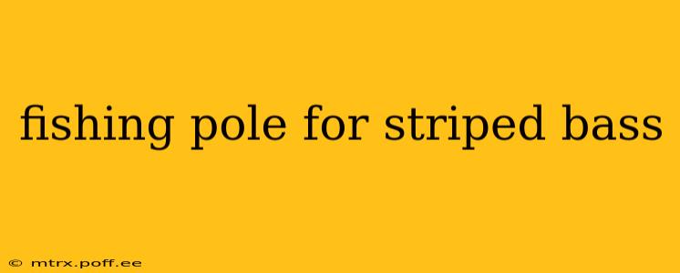 fishing pole for striped bass