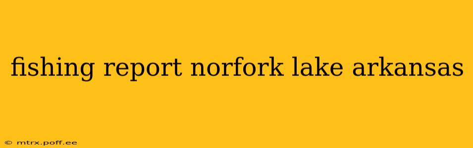 fishing report norfork lake arkansas