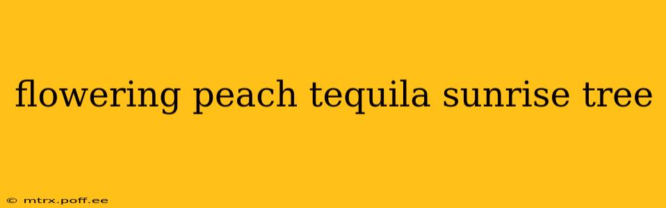 flowering peach tequila sunrise tree