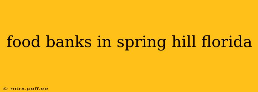 food banks in spring hill florida