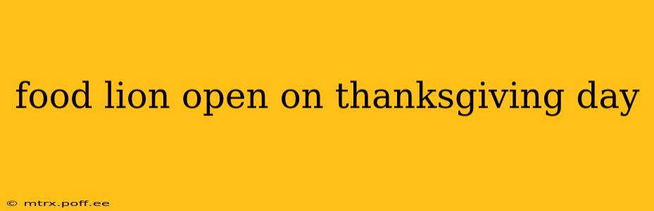 food lion open on thanksgiving day