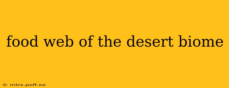 food web of the desert biome