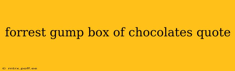 forrest gump box of chocolates quote