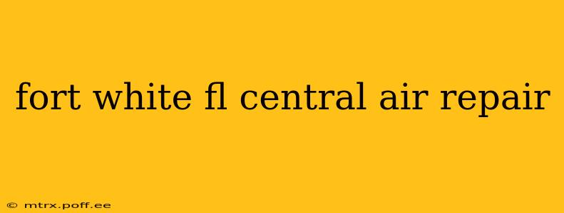 fort white fl central air repair