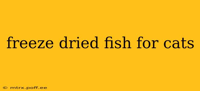 freeze dried fish for cats