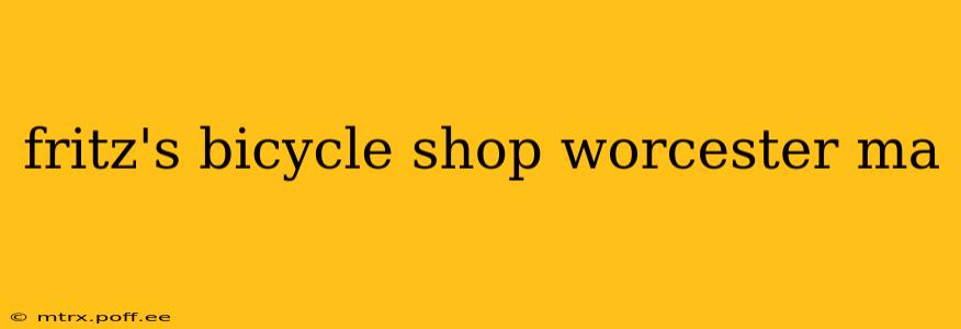 fritz's bicycle shop worcester ma