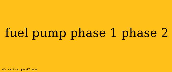 fuel pump phase 1 phase 2