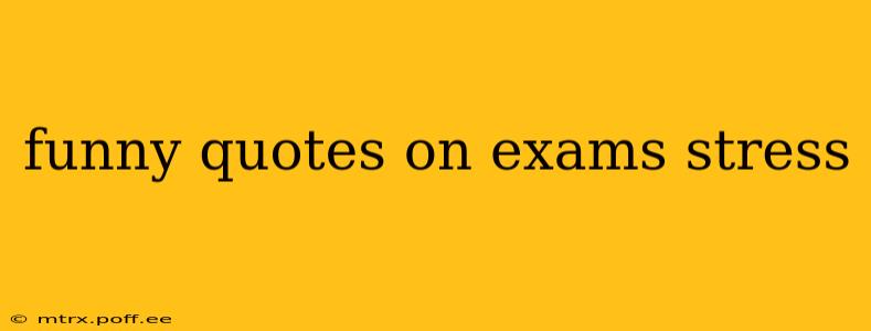 funny quotes on exams stress