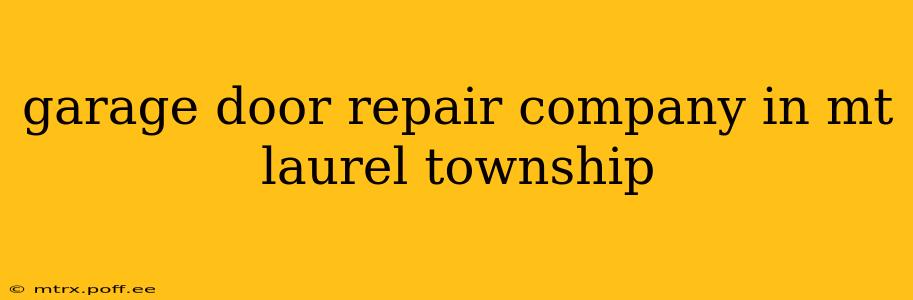 garage door repair company in mt laurel township