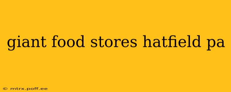 giant food stores hatfield pa