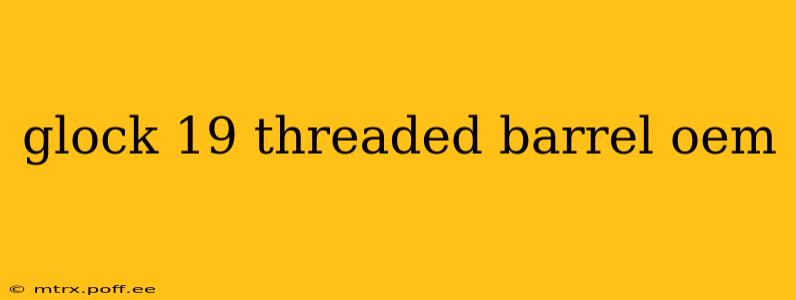 glock 19 threaded barrel oem