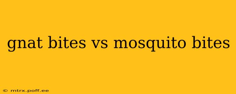 gnat bites vs mosquito bites
