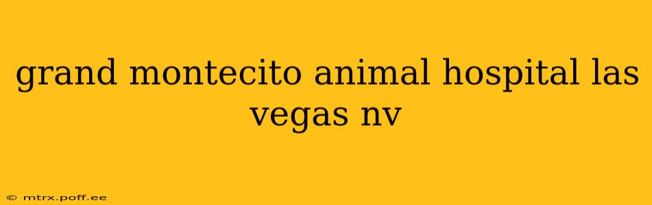 grand montecito animal hospital las vegas nv