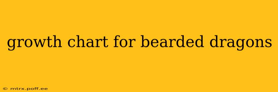 growth chart for bearded dragons