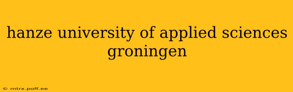 hanze university of applied sciences groningen
