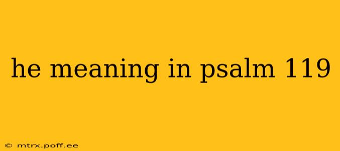 he meaning in psalm 119
