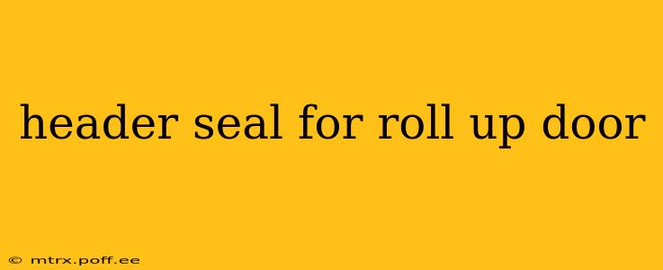 header seal for roll up door