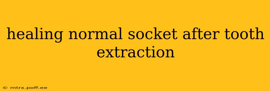 healing normal socket after tooth extraction
