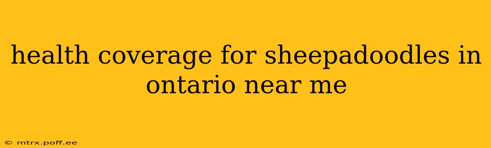 health coverage for sheepadoodles in ontario near me