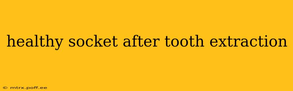 healthy socket after tooth extraction