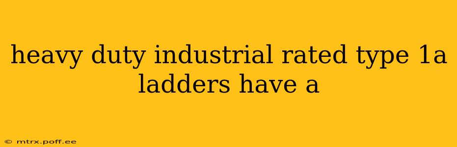 heavy duty industrial rated type 1a ladders have a
