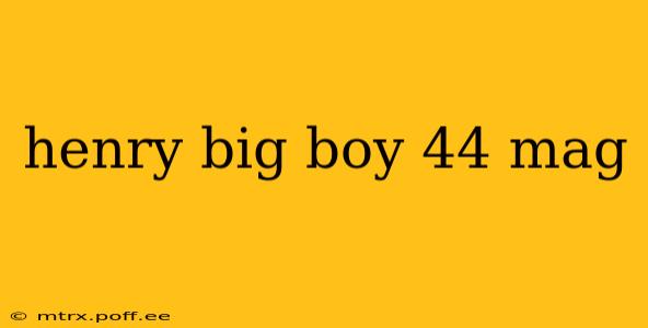 henry big boy 44 mag