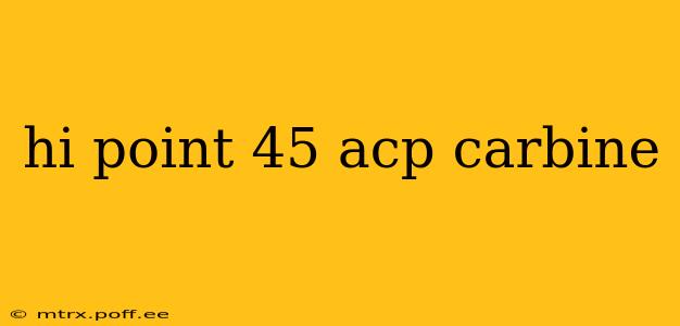 hi point 45 acp carbine
