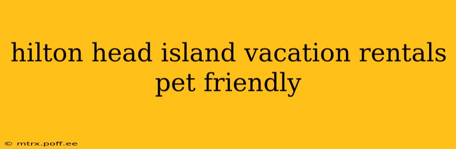 hilton head island vacation rentals pet friendly