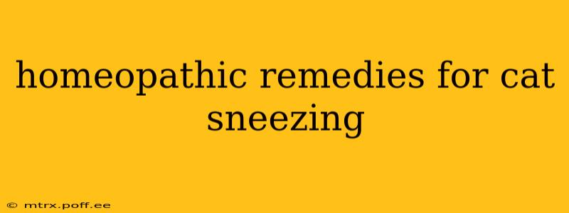 homeopathic remedies for cat sneezing