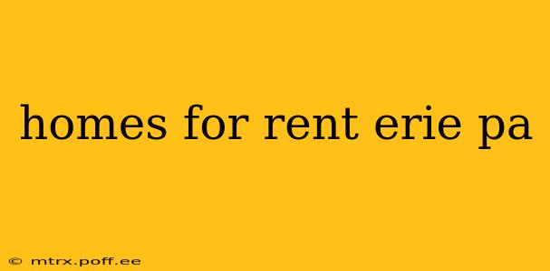 homes for rent erie pa