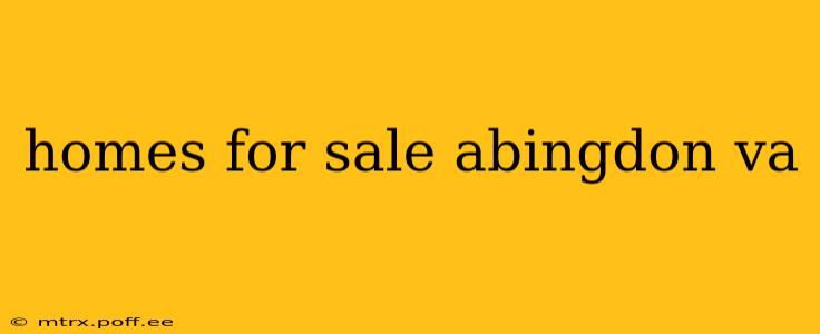 homes for sale abingdon va