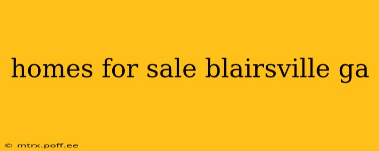 homes for sale blairsville ga