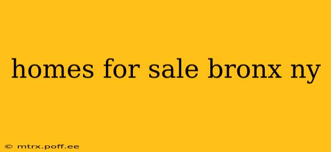 homes for sale bronx ny