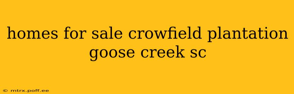 homes for sale crowfield plantation goose creek sc