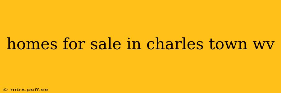 homes for sale in charles town wv