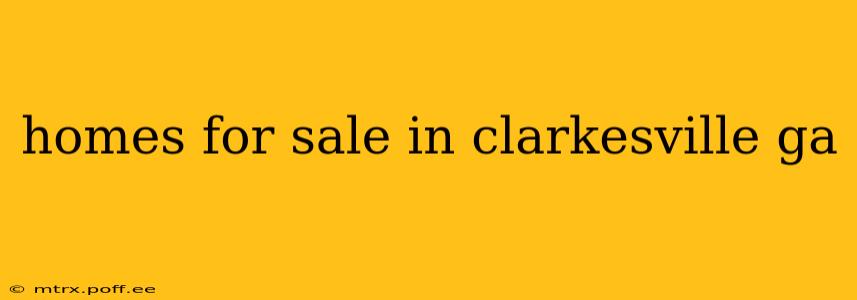 homes for sale in clarkesville ga