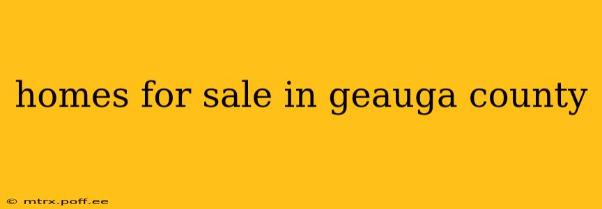 homes for sale in geauga county