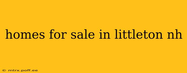 homes for sale in littleton nh