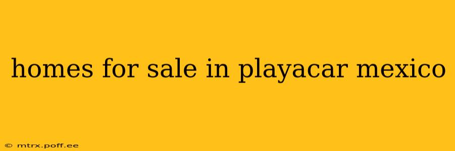 homes for sale in playacar mexico