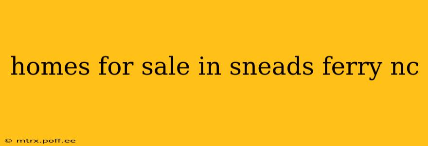 homes for sale in sneads ferry nc