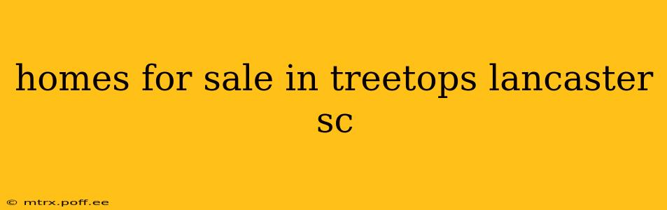 homes for sale in treetops lancaster sc
