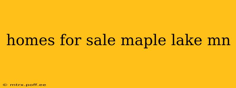 homes for sale maple lake mn
