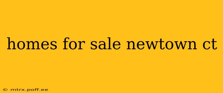 homes for sale newtown ct