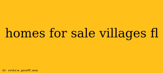 homes for sale villages fl