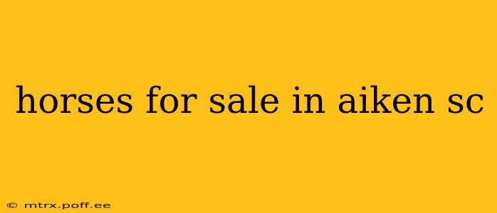 horses for sale in aiken sc