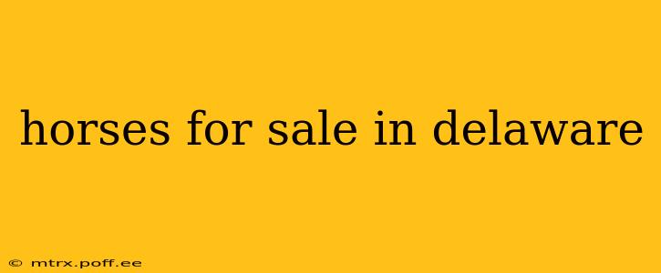 horses for sale in delaware