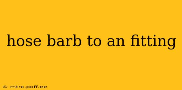 hose barb to an fitting