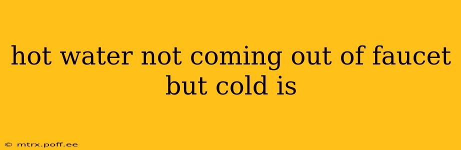 hot water not coming out of faucet but cold is