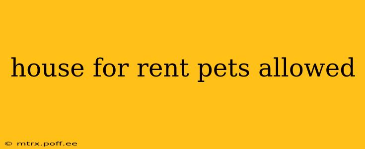house for rent pets allowed