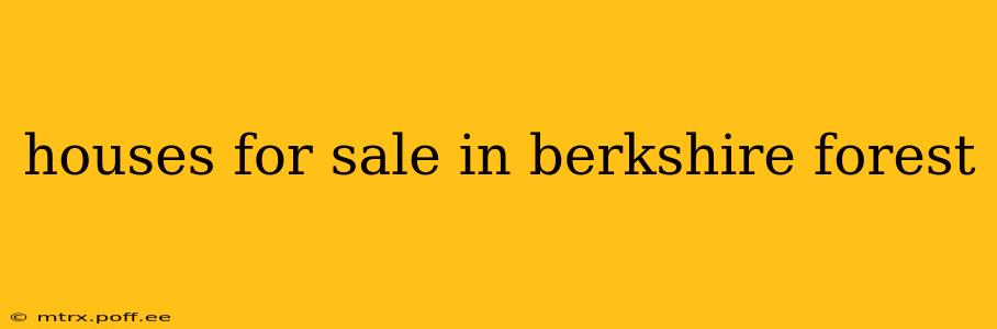 houses for sale in berkshire forest